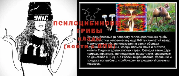 твердый Михайловск
