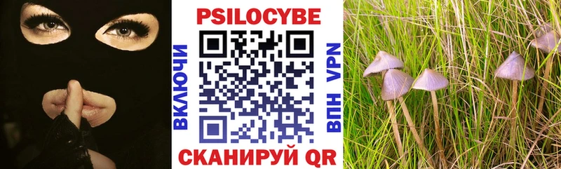 Галлюциногенные грибы Psilocybine cubensis  Приволжский 